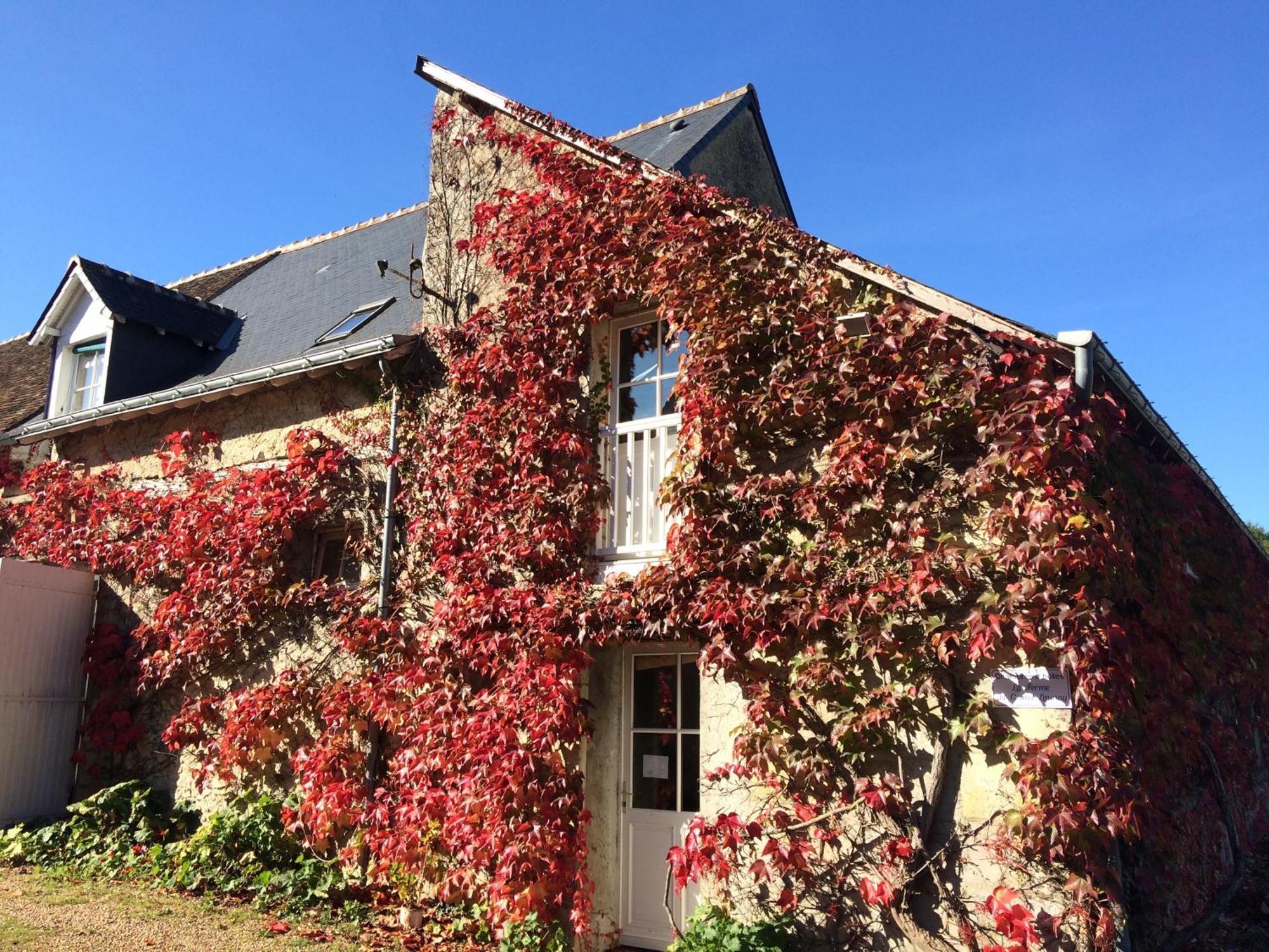 Chambres D'Hotes La Ferme Du Grand Launay Semblancay Bagian luar foto